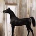 Abdullah Alshamrani - Facebook