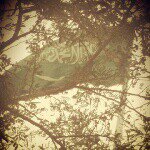 Abdullah Alshamrani - @00_n3m_00 - Instagram