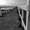 Abdullah Al Shimmari - @photosby.abbe - TikTok