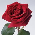 Abdullah Ameen - Facebook