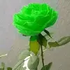 أميرة - @abdullah_ameer0 - TikTok