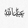 Abdullah Ameer - @abdullah_alshmerri2435 - TikTok