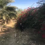 Abdullah Faisal Aqeel - @abdullahaqeel41 - Instagram