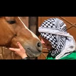 Abdullah Aref 🐎 - @abdullah.subeh - Instagram