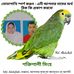 Md. Abdullah Aref - Facebook