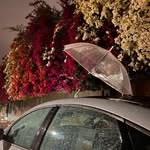 Abdullah Ashour - @abdullah_ashour_a - Instagram