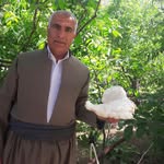 abdullah_bahrami - @abdullah_bahramii - Instagram