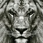 ABDULLAH_BAHRAMI - @aallh5 - Instagram