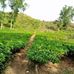 Abdullah Baki - Facebook