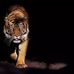 Abdullah Balla - Facebook