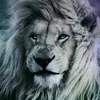 Abdullah barakzai - @user95750375422 - TikTok