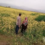 عبدالله بارانی - @abdullah_barani8590 - Instagram