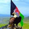 abdullahbarekzai0 - @abdullahbarekzai0 - TikTok