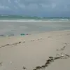 Abdullahi Barrow - @abdullahibarrow - TikTok