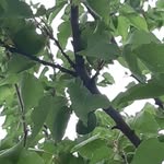 Abdullah Batağan - @abdullah_batagan_ - Instagram