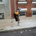joy - @abdullahcarter436 - Instagram