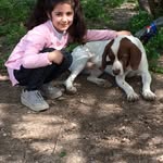 Abdullah çavuş - @abdullahcavus76 - Instagram