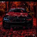Abdullah Cheema - @cheema_pakos - Instagram