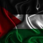 Abdullah Cheema - @abdullah_cheema252 - Instagram