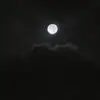 abdullahdabbagh99 - @itsabude4444 - TikTok