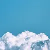 Abdullah Davis - @abdullahdavis - TikTok