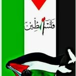 Abdullah Derwish - @derwishabdallah59 - Instagram