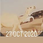 Abdullah Al-Dossary - @aldossary102 - Instagram