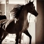 Abdullah Al Dossary - @al__wad3ani - Instagram