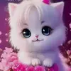 abdullahebad960 - @abdullahebad960 - TikTok