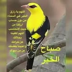 Abdullah Ebraheem Al Haraby - @a1b3c7d4 - Instagram