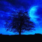 Abdullah Emad - Facebook