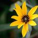 Abdullah emam photografy - Facebook