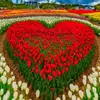 ..ABDULLAH ESSA.. - @qq1231237 - TikTok