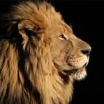@abdullah.farooqui.22 - Instagram