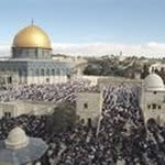Abdullah Farouk - @abdullahfarouk2 - Instagram