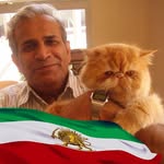 Abdullah Ghaedi - @abdullahghaedi - Instagram
