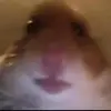 Abdullah - @abdullahghaith2005 - TikTok