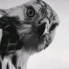 Abdullah Ghaith - @abdullahghaith06 - TikTok
