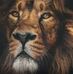 Abdullah Ghazi - Facebook