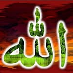 Abdullah Gilani - @gilani2142 - Instagram