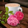 Abdullah Gul - @abdullah.gul488 - TikTok