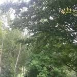 Abdullah Yasir Gürhan - @abdullahyasirgurh - Instagram
