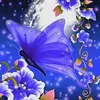 Abdullah hadeed khan - @abdullah.hadeed.k - TikTok