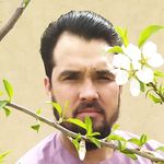 Abdullah Halimi - @abdullah.halimi24 - Instagram