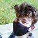 Abdullah Hallak - Facebook