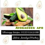 Abdullah Hallak - @abdullah.hallak.33 - Instagram