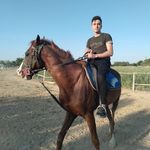 abdullah hallak - @hallak_abdullah - Instagram