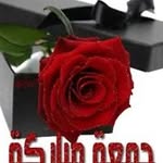 Abdullah Hamdard - @abdullahhamdard31 - Instagram