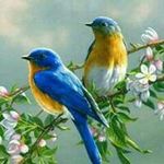Abdullah Hamood - @abdullah.hamood - Instagram