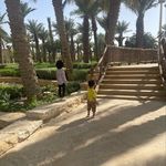 Abdullah Hamood Alnabeai - @alnabeai - Instagram